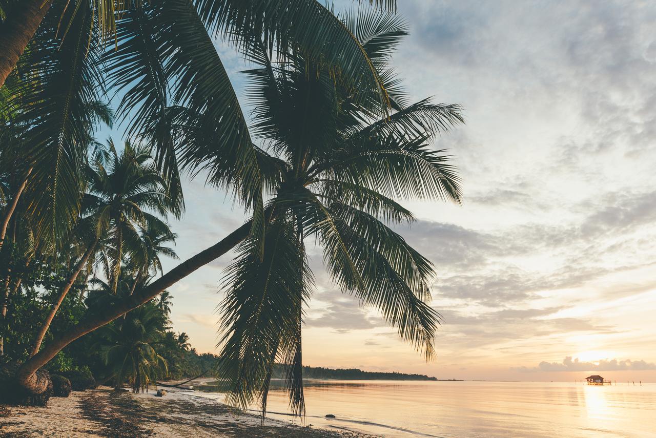 Soultribe Beach Retreat General Luna  Luaran gambar