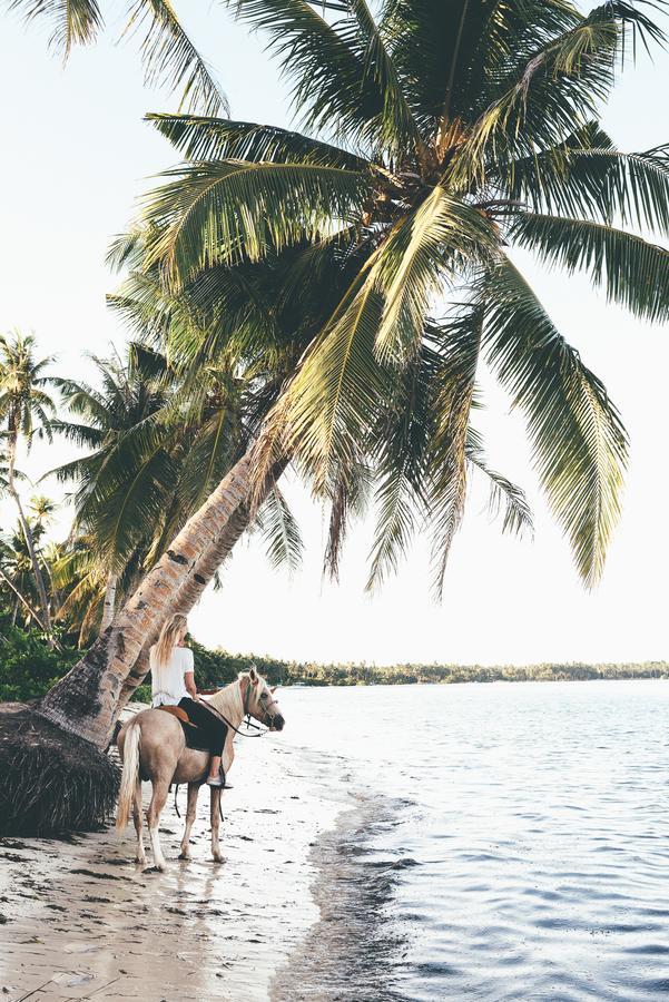 Soultribe Beach Retreat General Luna  Luaran gambar